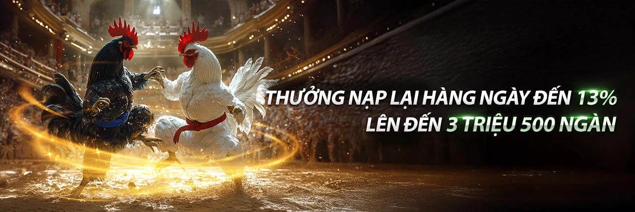 Đá Gà Trực Tuyến Hấp Dẫn tại ken88 chính thức